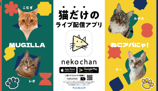 猫だけのライブ配信アプリ「nekochan」って知ってた？渋谷駅に人気猫ライバーのポスターが登場だって！