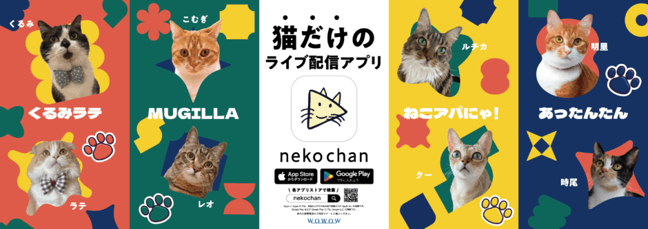 nekochan