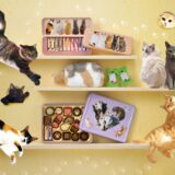 ねこみゃみれ