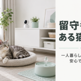 「留守番ばかりで可哀想」は本当？一人暮らし・共働き家庭の猫飼育で押さえたいポイント