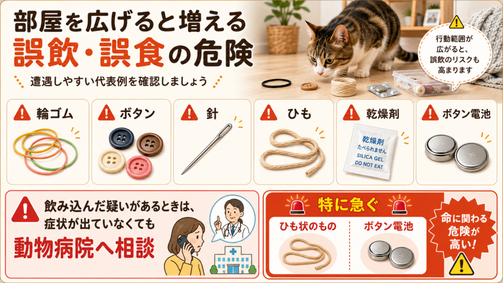 猫の命に係わる誤飲・誤食のケース